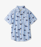 Boys Boys Dino Stripes Button Down Shirt | Hatley Tops