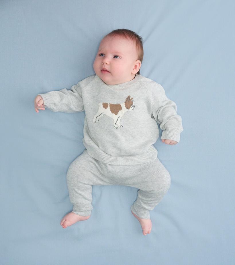 Baby &amp; Toddler Baby Boys Little Bulldog Pullover Sweater &amp; Pants | Hatley Sweaters