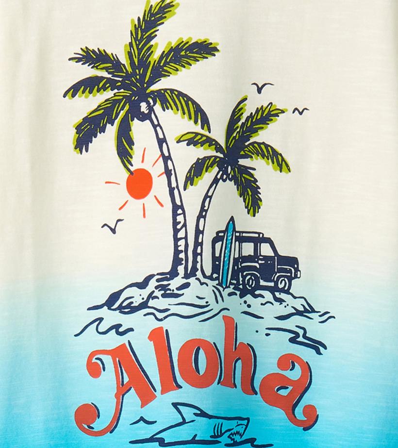 Boys Boys Aloha Graphic Tee | Hatley Tops