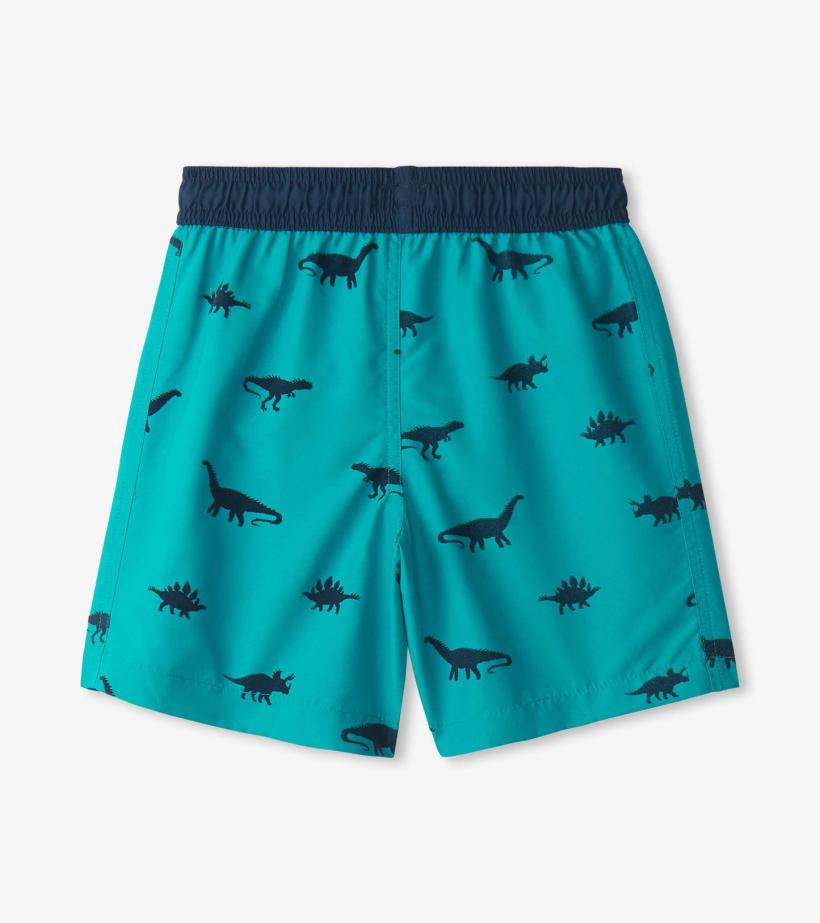 Boys Boys Dino Silhouette Swim Trunks | Hatley Swimwear