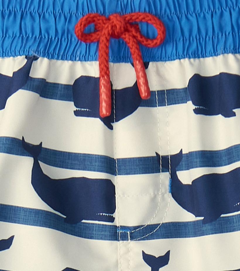 Boys Boys Nautical Whale Swim Shorts | Hatley Swimwear