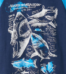 Boys Boys Sharks Raglan T-Shirt | Hatley Tops