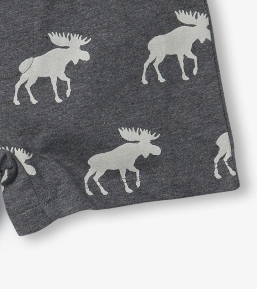 Boys Boys Silhouette Animals 3 Pack Boxer Briefs | Hatley Underwear