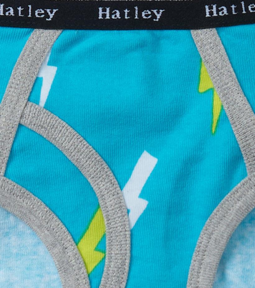 Boys Boys Silhouette Nature 3 Pack Classic Briefs | Hatley Underwear