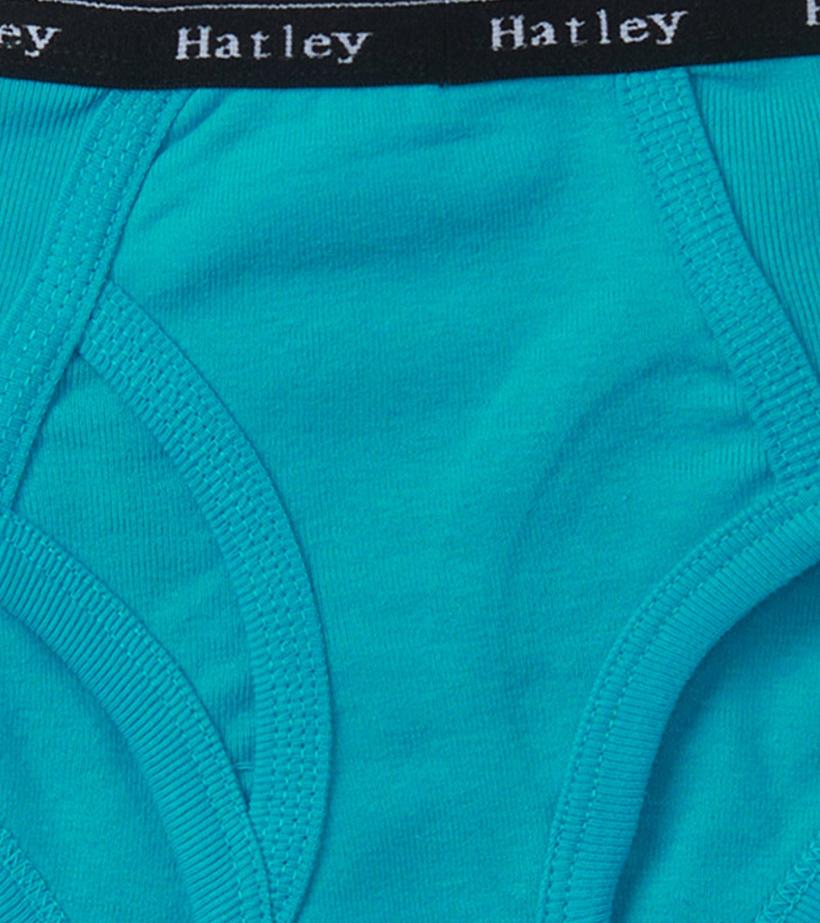 Boys Boys Solid 3 Pack Classic Briefs | Hatley Underwear