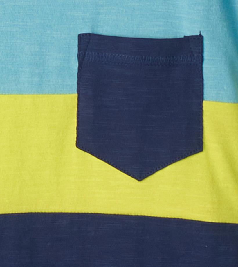 Boys Boys Stillwater Panel Tee | Hatley Tops