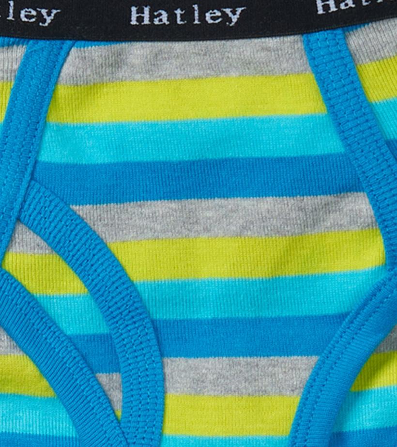 Boys Boys Stripes 3 Pack Classic Briefs | Hatley Underwear