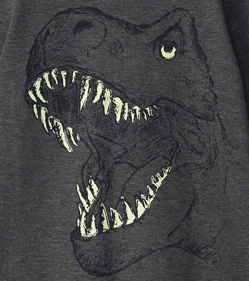 Boys Boys T-Rex Glow In The Dark Long Sleeve T-Shirt | Hatley Tops
