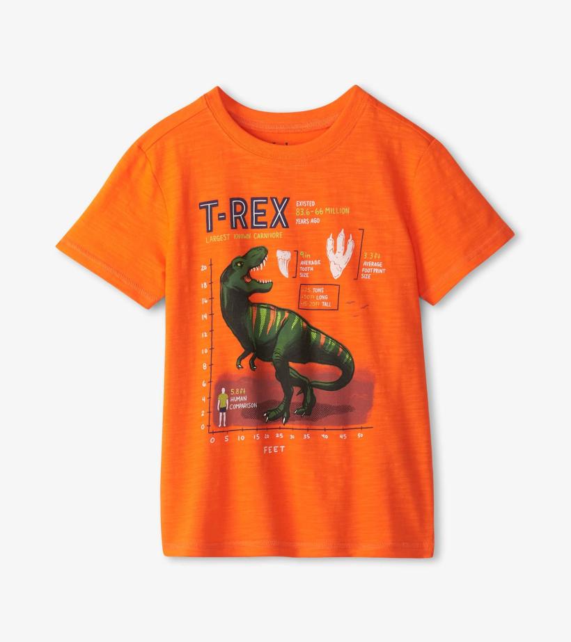 Boys Boys T-Rex Graphic Tee | Hatley Tops