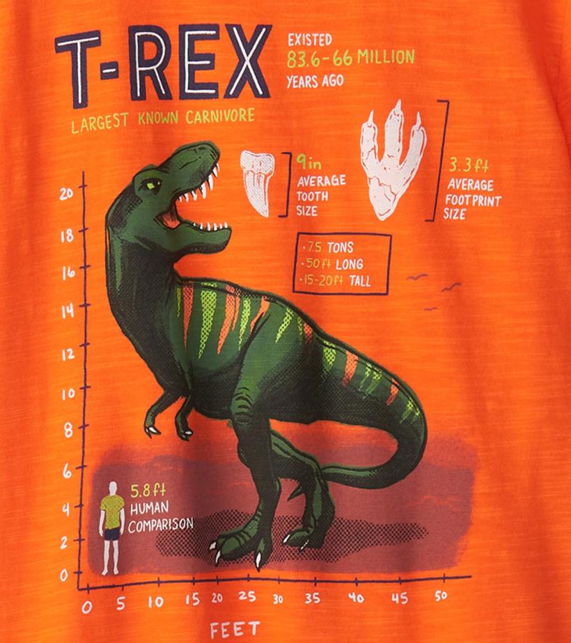 Boys Boys T-Rex Graphic Tee | Hatley Tops