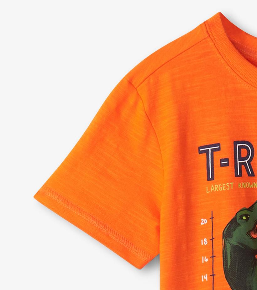 Boys Boys T-Rex Graphic Tee | Hatley Tops