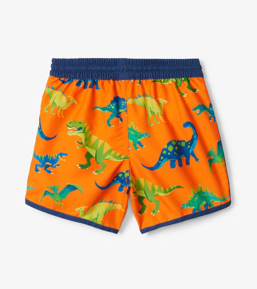 Boys Colourblock Dino Swim Shorts | Hatley Swimwear