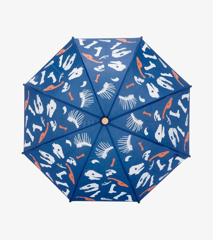 Boys Dino Fossils Colour Changing Umbrella | Hatley Rainwear