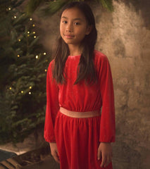 Girls Girls Holiday Stars Crushed Velour Dress | Hatley Dresses